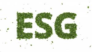 Конференция «ESG*-инвестиции в России: на пути к зеленой экономике»