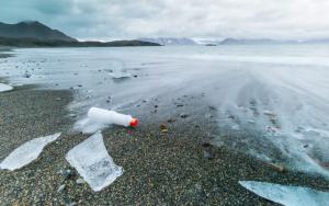 Откуда в Арктике пластик и чем это нам грозит