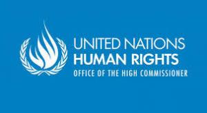 Россия вновь избрана в Совет ООН по правам человека